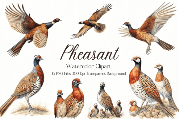 Pheasant Sublimation Watercolor Clipart for Creative Projects